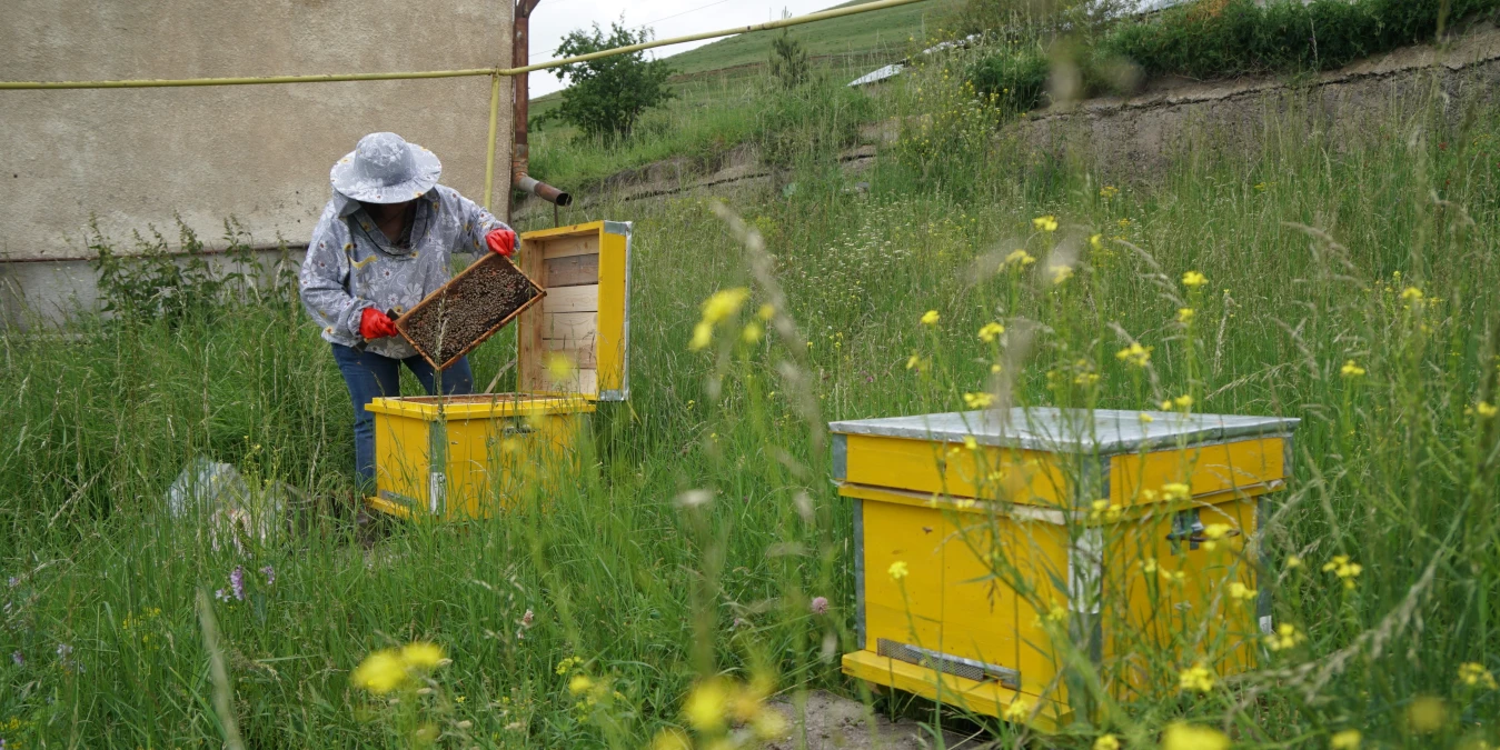 Empowering Lives: Czech Support for Armenians Displaced from Nagorno-Karabakh
