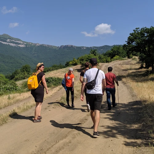 Կլիմայի դիմակայունություն